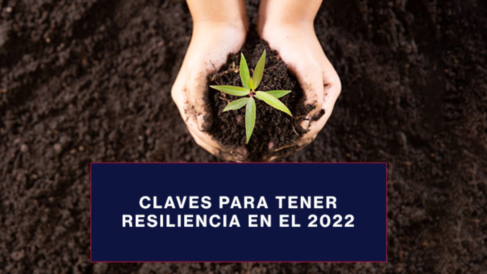 Claves para tener resiliencia en el 2022