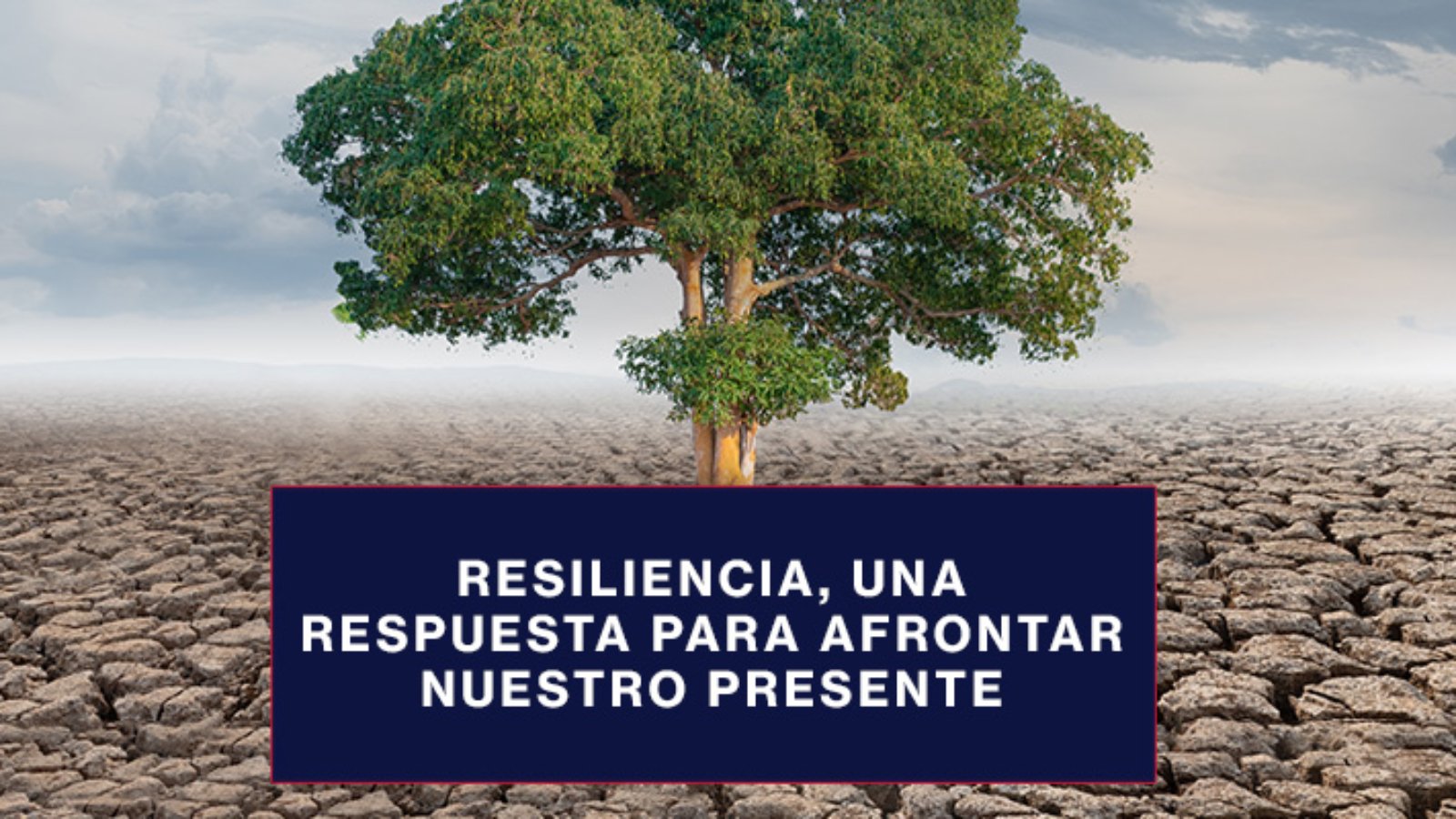 Por medio de la resiliencia podemos afrontar situaciones de nuestro pasado, presente y futuro